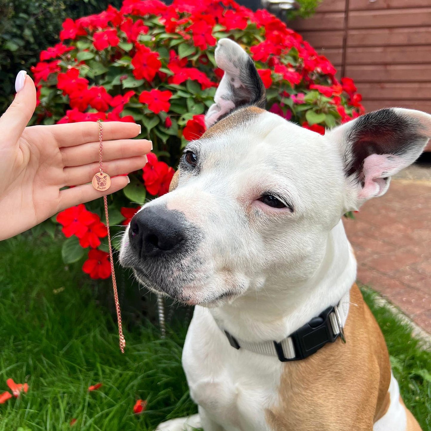 Collier Portrait Animal