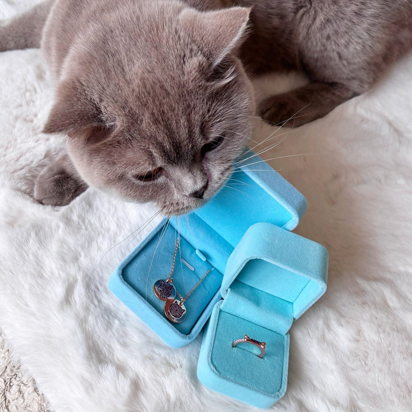 Collier Portrait Animal