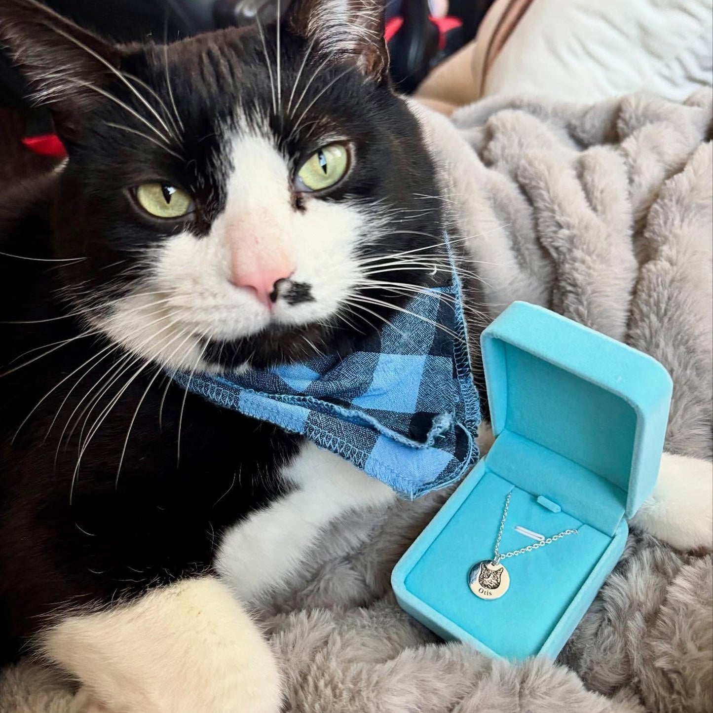 Collier Portrait Animal